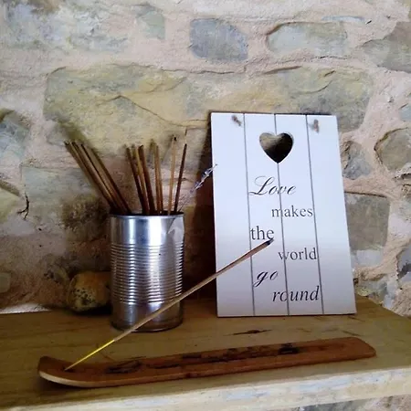 Gabino 旅馆 El Ganso